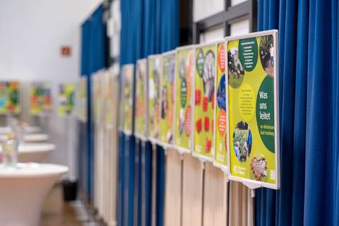 Mehrere bunte Plakate hängen nebeneinander an einer blauen Vorhangwand, im Vordergrund ein Plakat mit Text und Fotos.